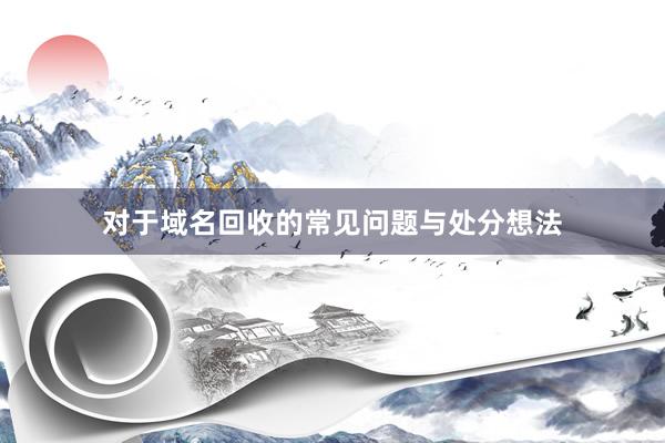 对于域名回收的常见问题与处分想法